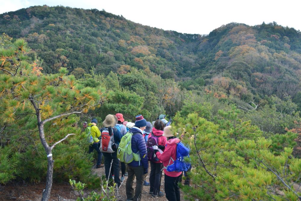 f:id:hikojima:20181209104011j:plain f:id:hikojima:20181209104011j:plain