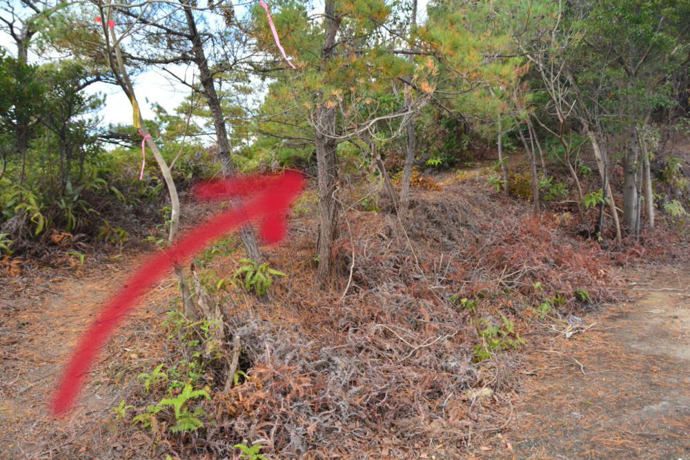 f:id:hikojima:20181209104030j:plain f:id:hikojima:20181209104030j:plain