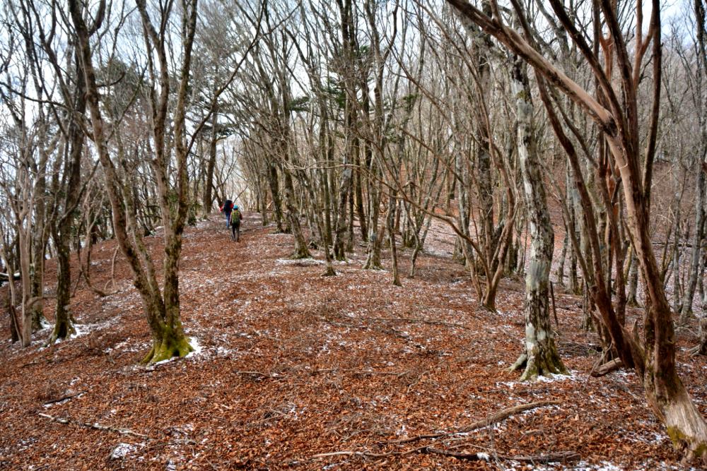 f:id:hikojima:20181219112041j:plain