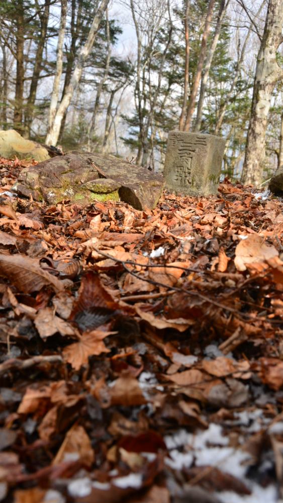 f:id:hikojima:20181219112054j:plain