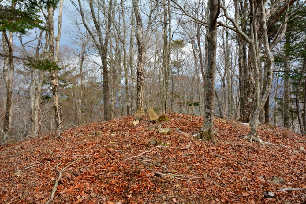 f:id:hikojima:20181219112102j:plain