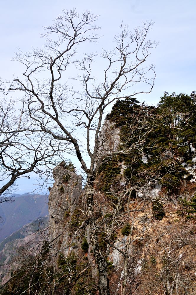 f:id:hikojima:20190225102059j:plain