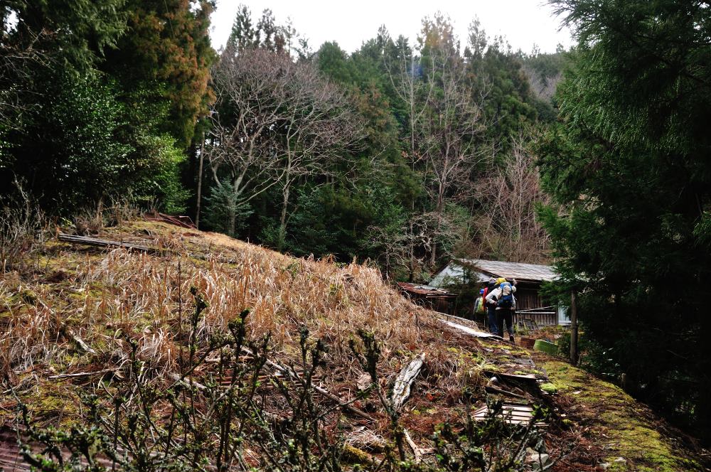 f:id:hikojima:20190307114404j:plain