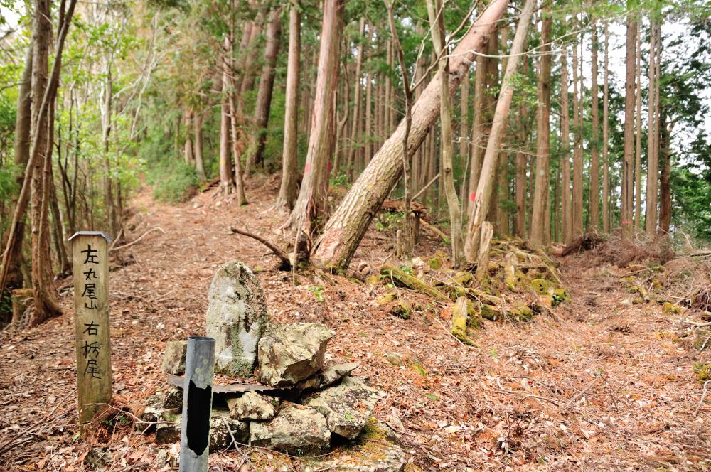 f:id:hikojima:20190307114442j:plain