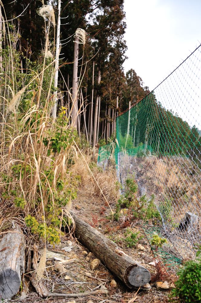 f:id:hikojima:20190307114456j:plain