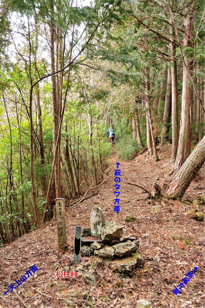 f:id:hikojima:20190307114542j:plain