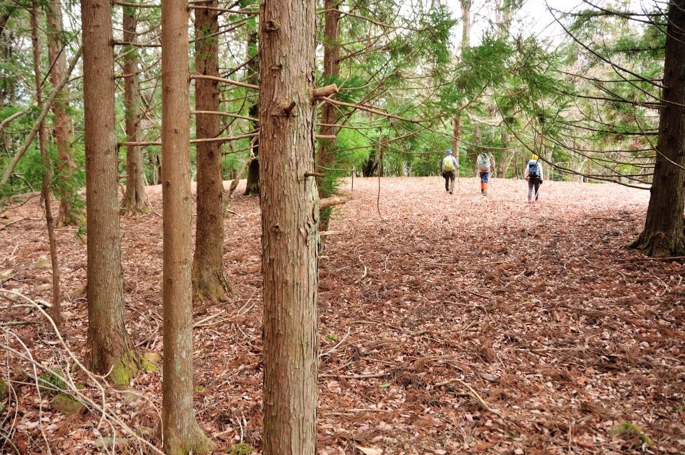 f:id:hikojima:20190307114621j:plain