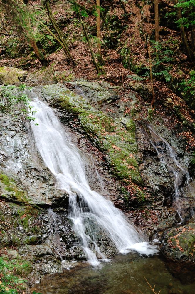 f:id:hikojima:20190307114638j:plain