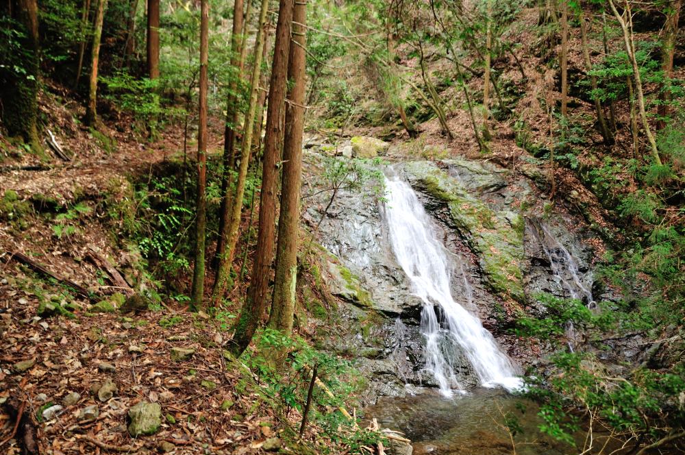 f:id:hikojima:20190307114642j:plain