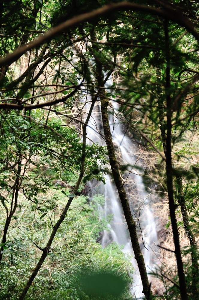 f:id:hikojima:20190307114651j:plain