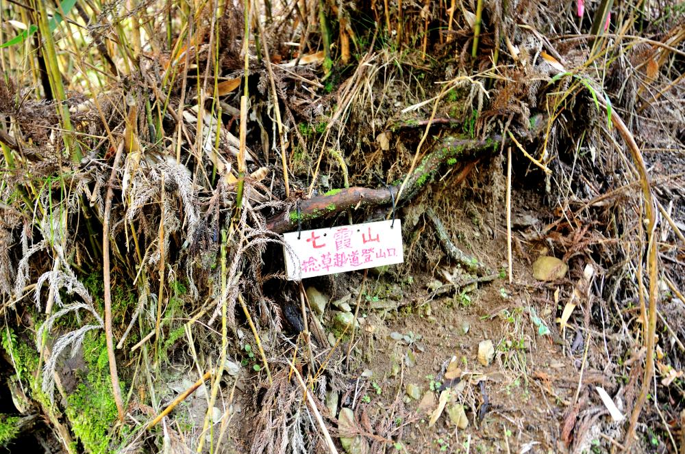 f:id:hikojima:20190314102910j:plain f:id:hikojima:20190314102910j:plain