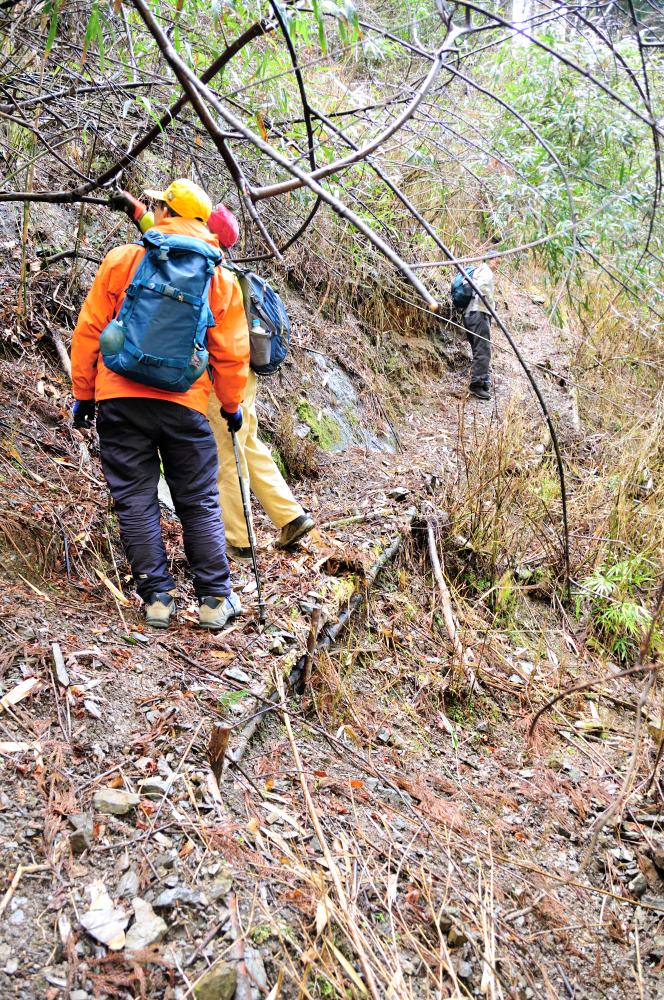 f:id:hikojima:20190314102920j:plain f:id:hikojima:20190314102920j:plain