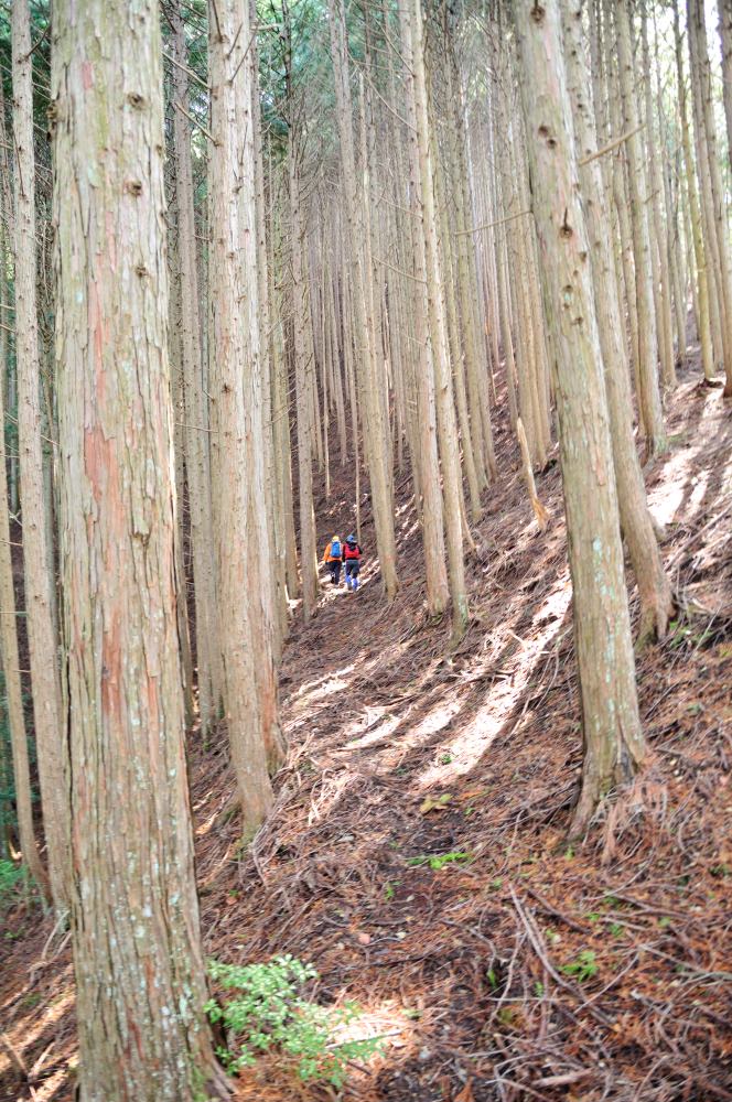 f:id:hikojima:20190314102933j:plain f:id:hikojima:20190314102933j:plain