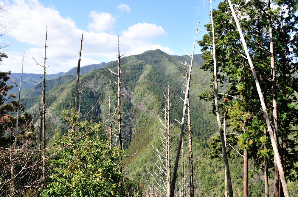 f:id:hikojima:20190314103035j:plain f:id:hikojima:20190314103035j:plain