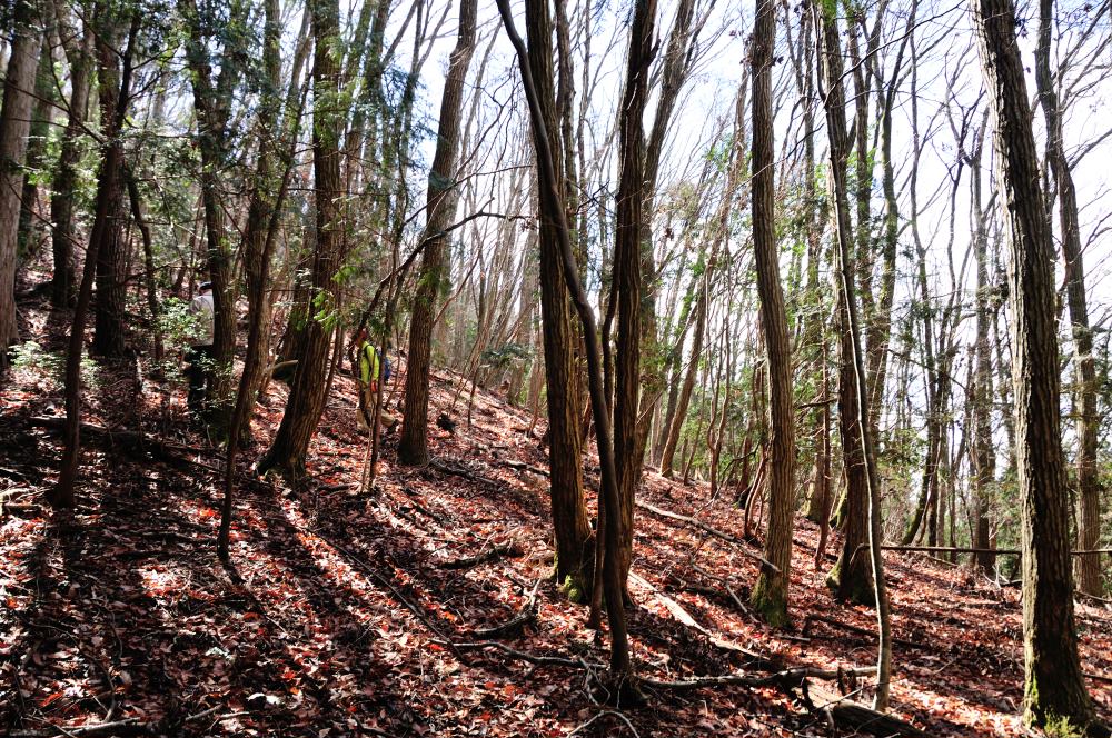 f:id:hikojima:20190314103044j:plain f:id:hikojima:20190314103044j:plain