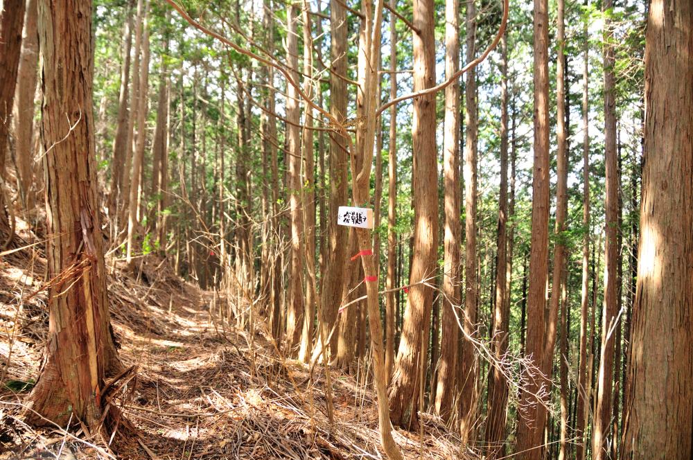 f:id:hikojima:20190314103054j:plain f:id:hikojima:20190314103054j:plain