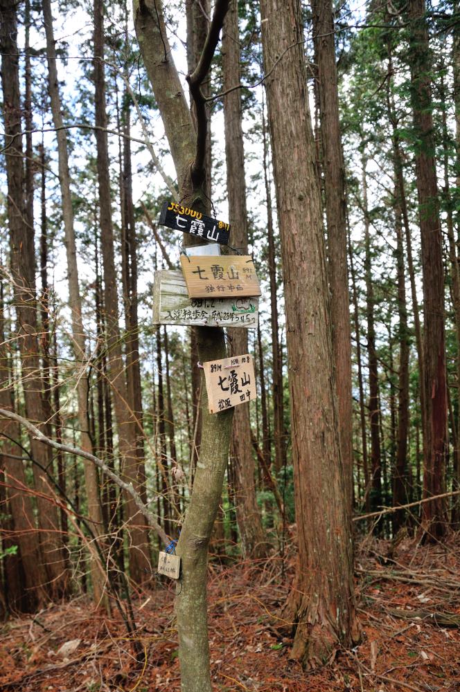 f:id:hikojima:20190314103124j:plain f:id:hikojima:20190314103124j:plain