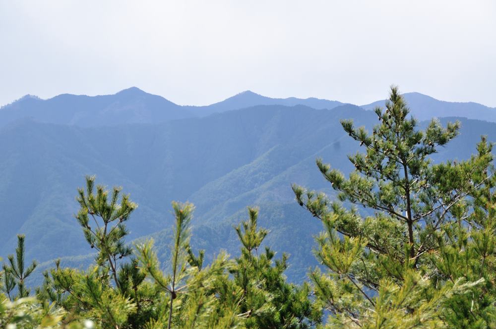 f:id:hikojima:20190314103156j:plain f:id:hikojima:20190314103156j:plain