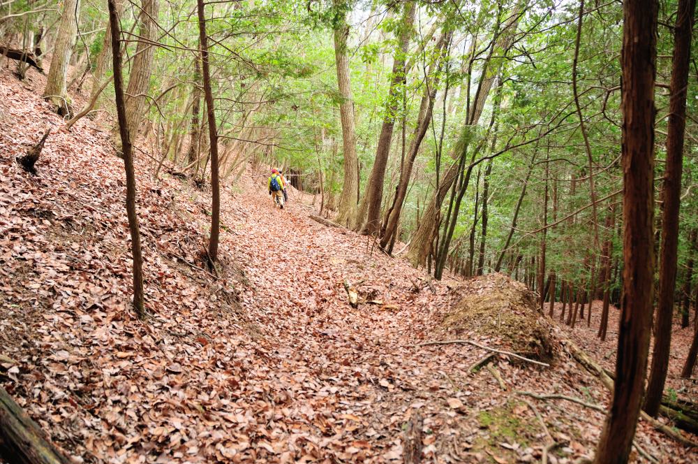 f:id:hikojima:20190314103208j:plain f:id:hikojima:20190314103208j:plain