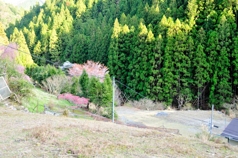 f:id:hikojima:20190410124958j:plain