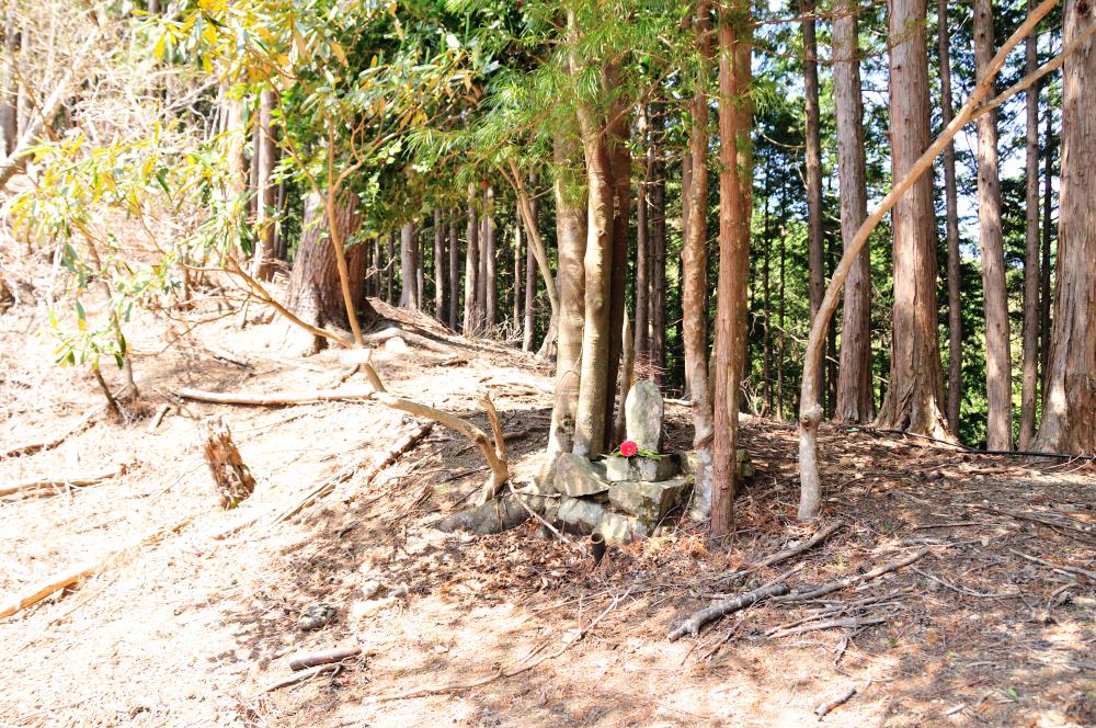 f:id:hikojima:20190410125020j:plain