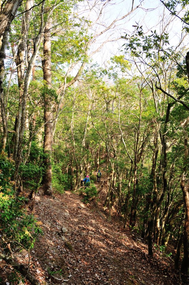 f:id:hikojima:20190410125113j:plain