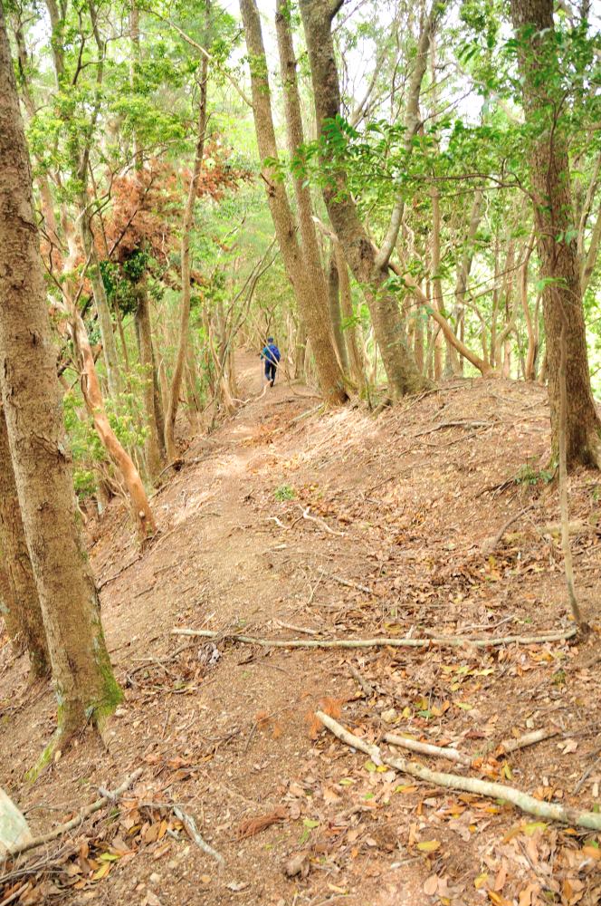 f:id:hikojima:20190429143957j:plain