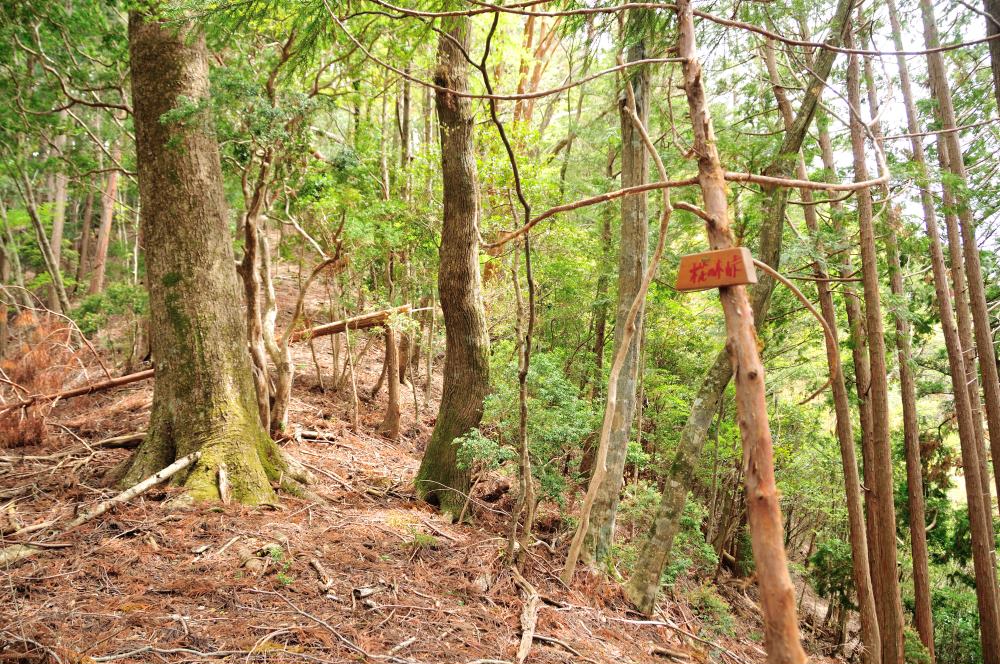 f:id:hikojima:20190429144003j:plain