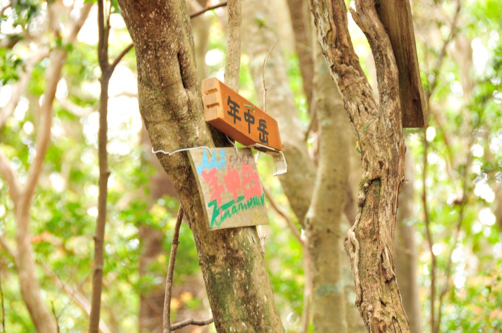 f:id:hikojima:20190429144030j:plain