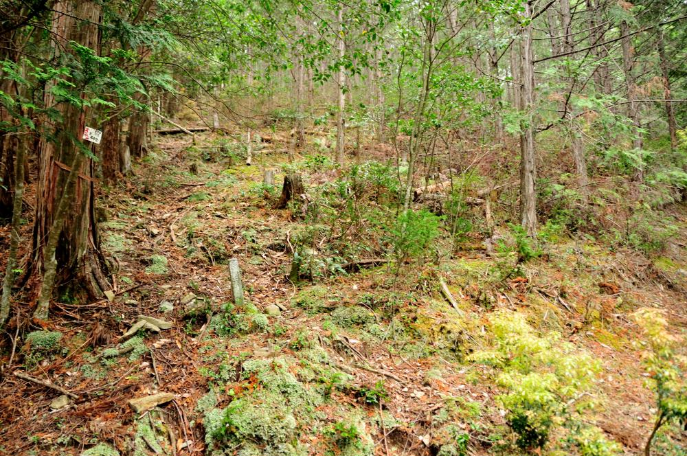 f:id:hikojima:20190429144041j:plain