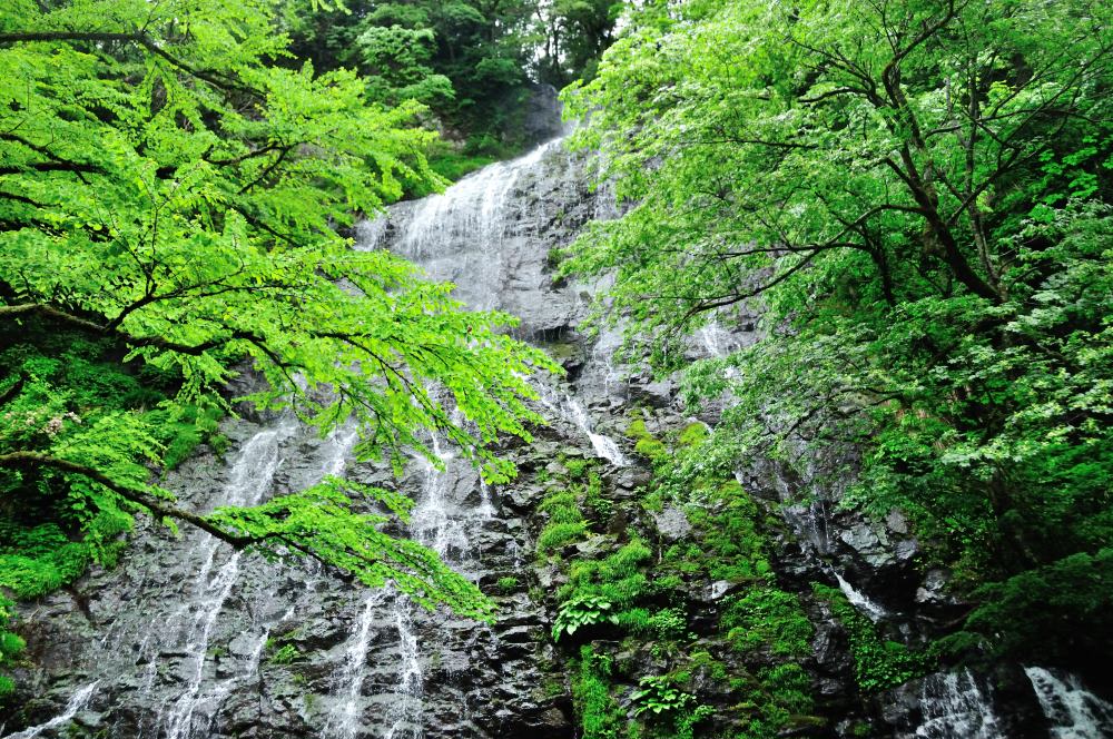 f:id:hikojima:20190530103030j:plain