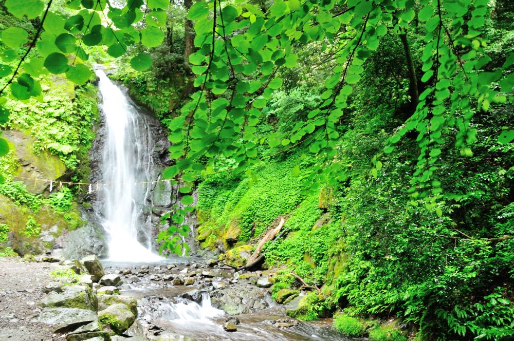 f:id:hikojima:20190530103040j:plain