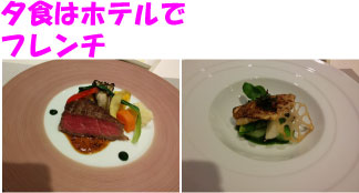 f:id:hikojima:20190530174135j:plain