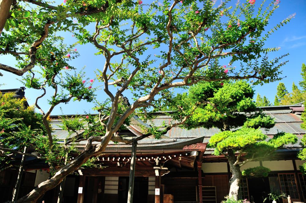 f:id:hikojima:20190914223136j:plain