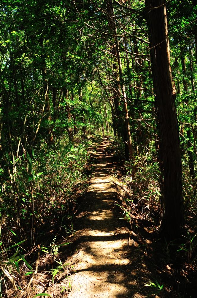 f:id:hikojima:20190914223237j:plain