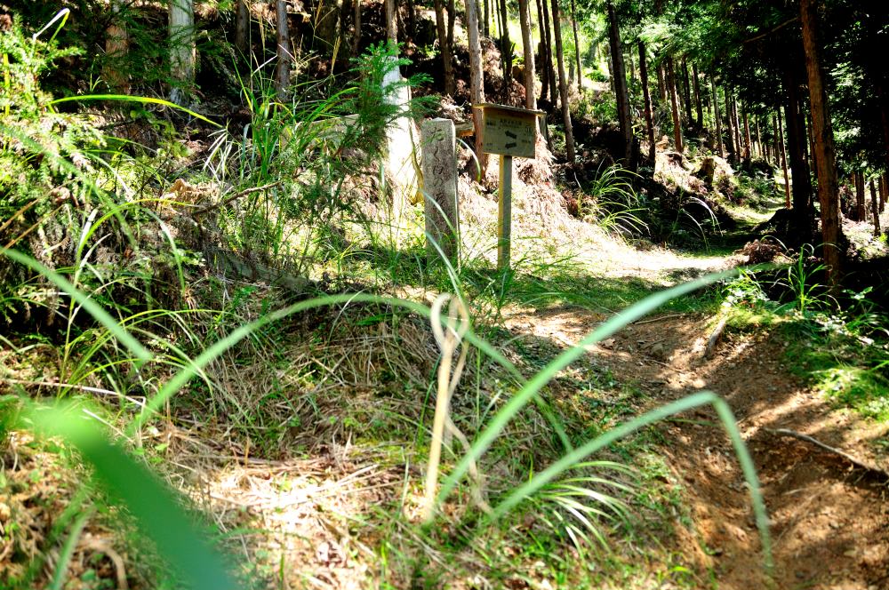 f:id:hikojima:20190914223243j:plain