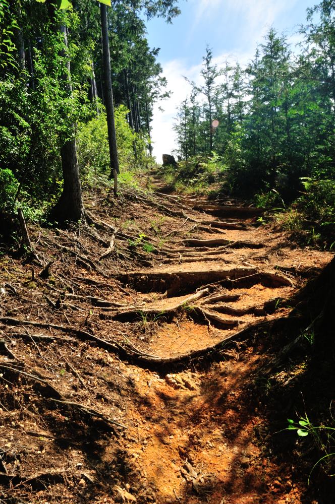 f:id:hikojima:20190914223253j:plain