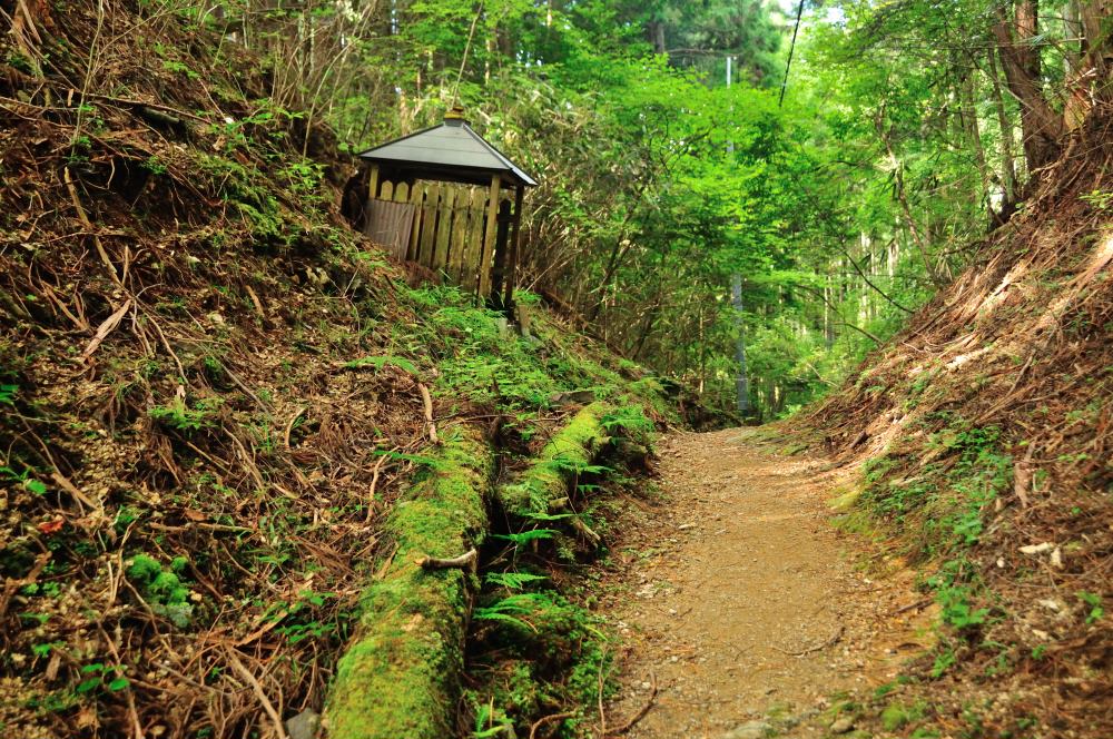 f:id:hikojima:20190914223325j:plain