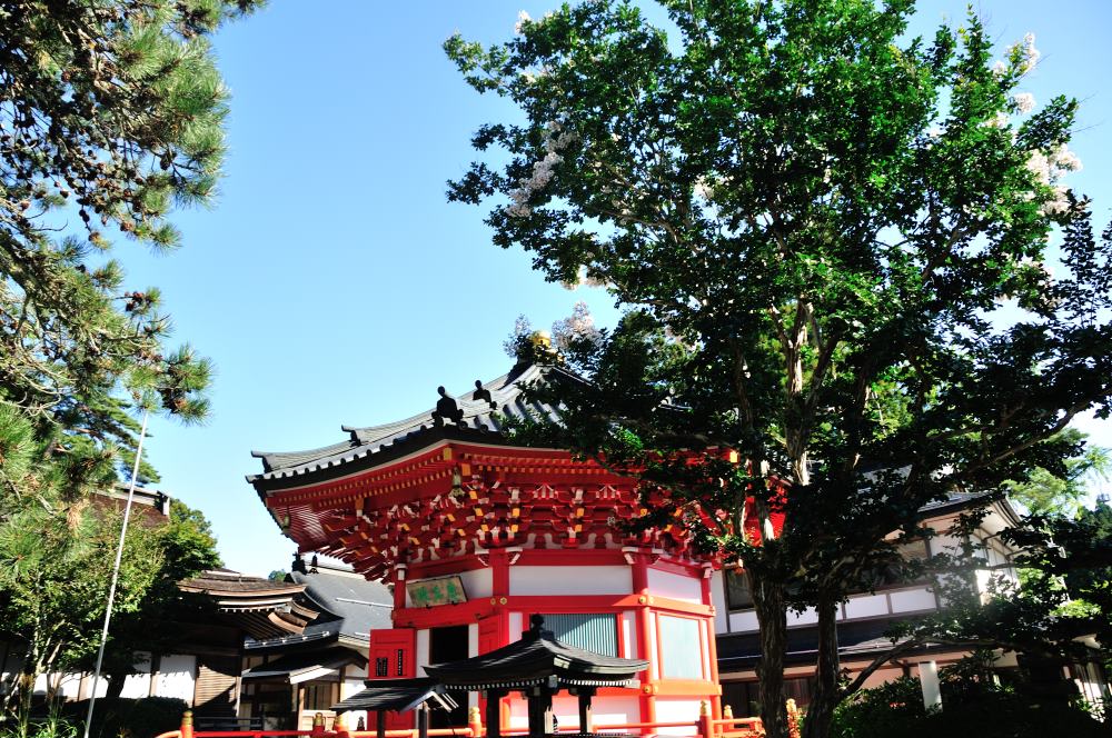 f:id:hikojima:20190914223346j:plain