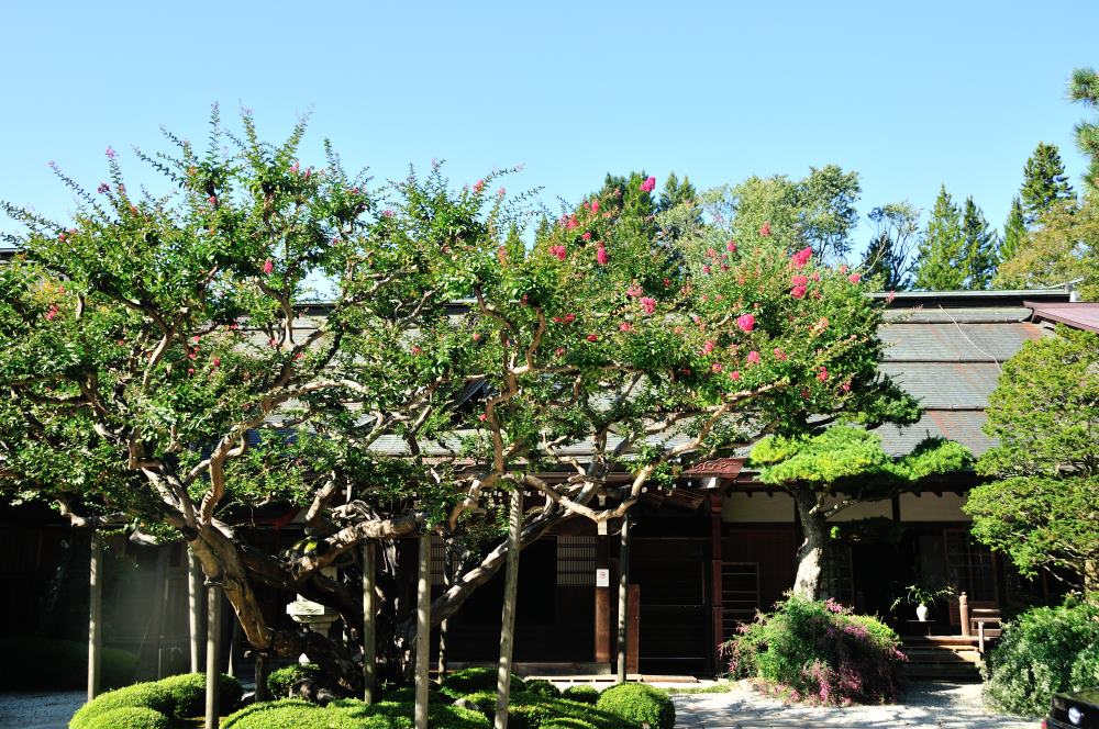 f:id:hikojima:20190914223349j:plain