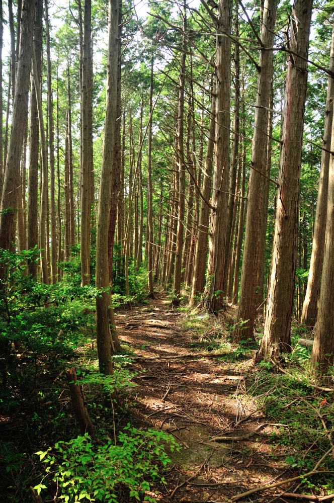 f:id:hikojima:20190930181637j:plain f:id:hikojima:20190930181637j:plain