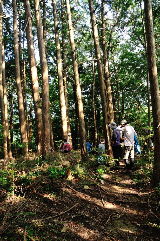 f:id:hikojima:20190930181642j:plain f:id:hikojima:20190930181642j:plain