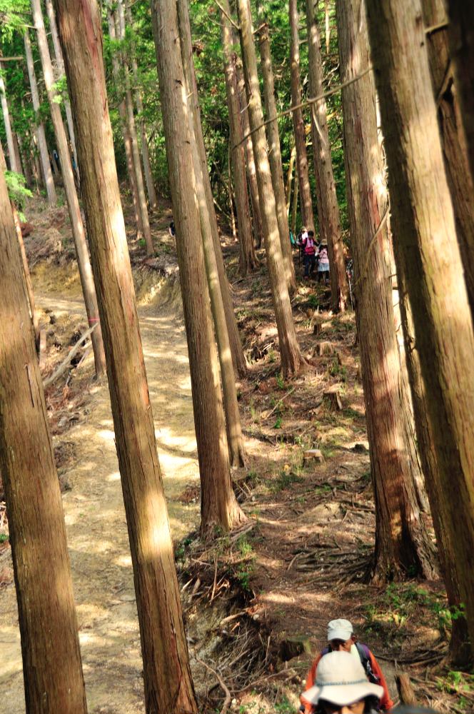 f:id:hikojima:20190930181644j:plain f:id:hikojima:20190930181644j:plain