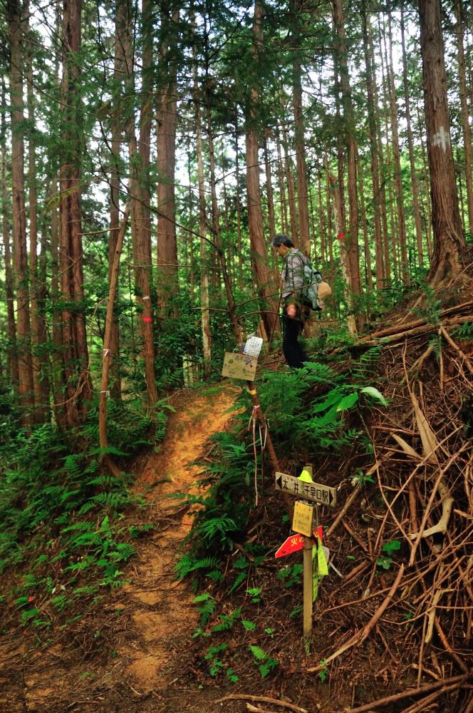 f:id:hikojima:20190930181647j:plain f:id:hikojima:20190930181647j:plain