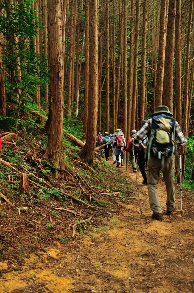 f:id:hikojima:20190930181650j:plain f:id:hikojima:20190930181650j:plain