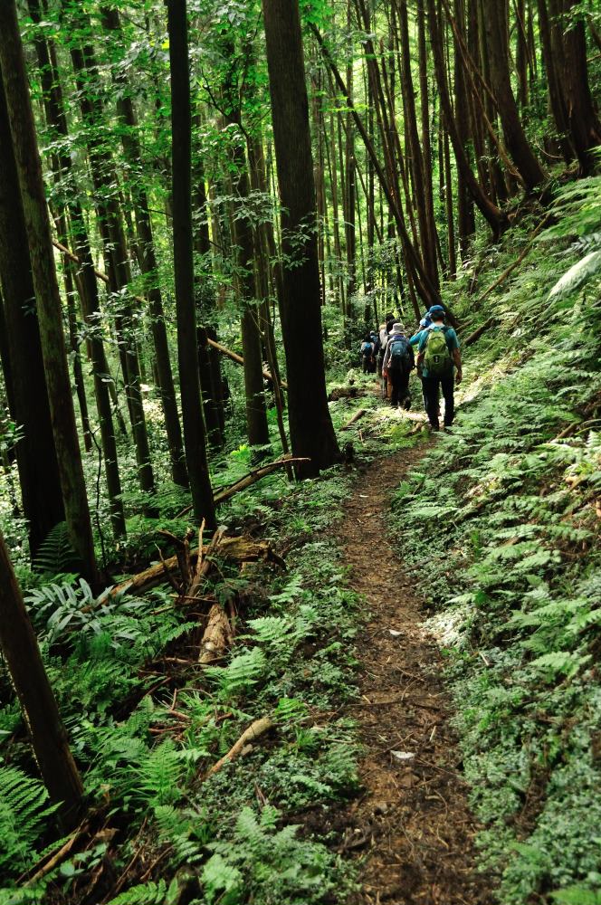 f:id:hikojima:20190930181654j:plain f:id:hikojima:20190930181654j:plain