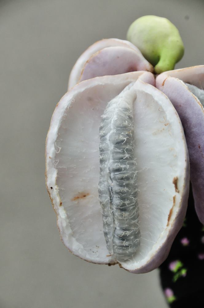 f:id:hikojima:20190930181657j:plain f:id:hikojima:20190930181657j:plain