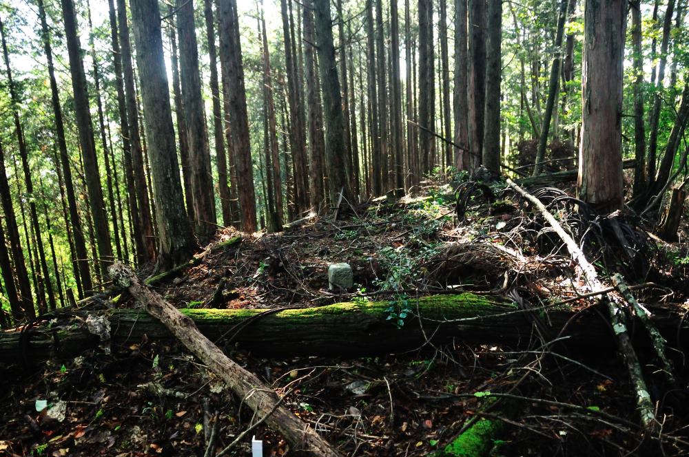 f:id:hikojima:20191010185749j:plain