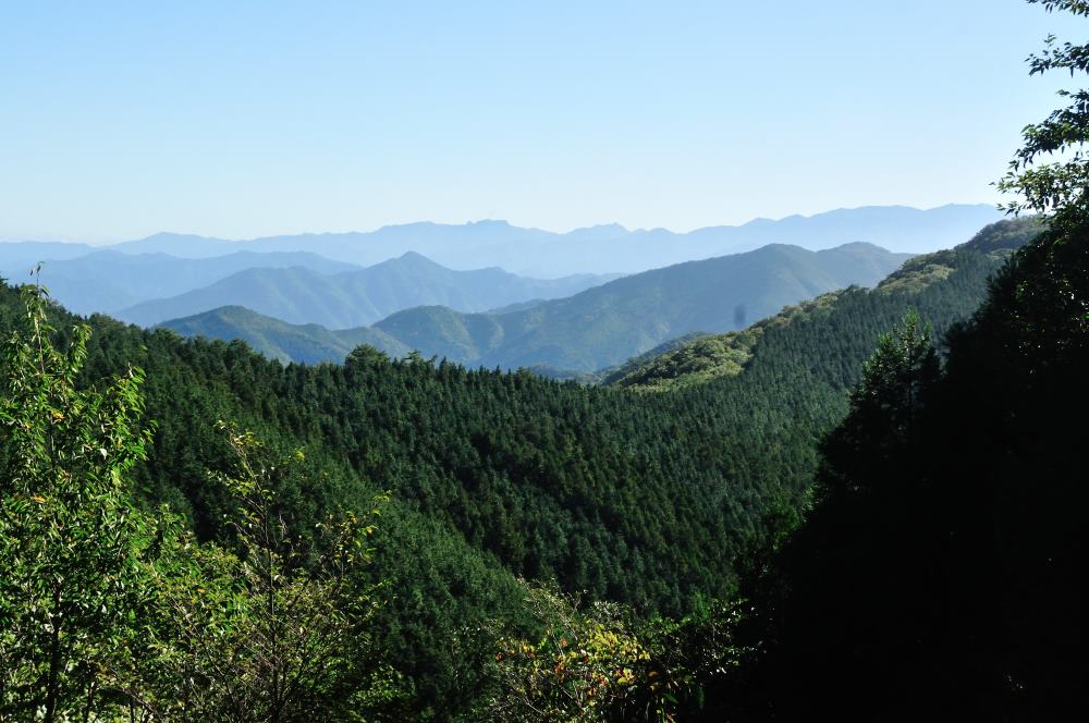 f:id:hikojima:20191010185755j:plain