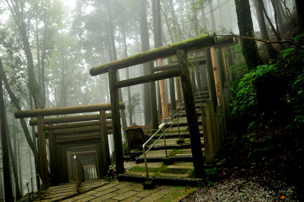 f:id:hikojima:20191010185834j:plain